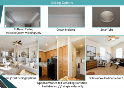 Ceiling Options